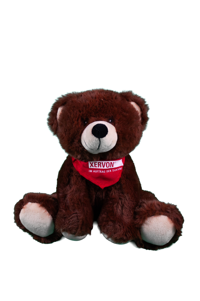 Teddybär (1 Stk.)